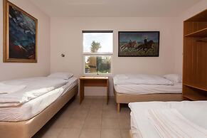 Guesthouse Eldhestar