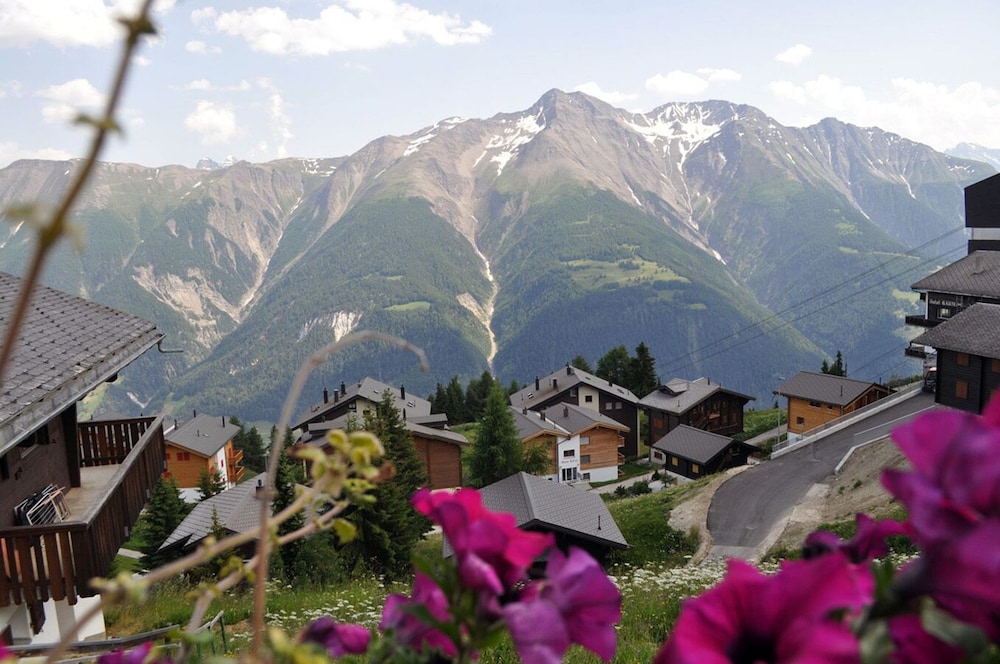 Alpengarten 4