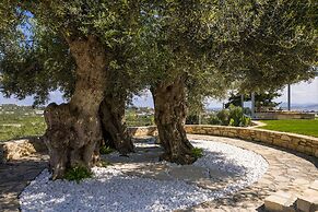 Olivenest Chania Executive Villa