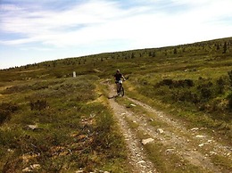 Torpomoen