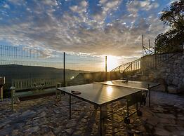 Villa Falcon Rook