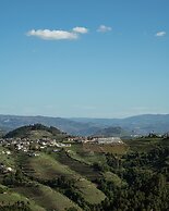 MW Douro Wine & Spa