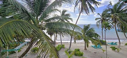 Tranquility Bay Resort
