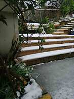 Midden Manor Country Stay on a Working Dairy Farm