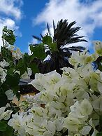B&B Curacao nv