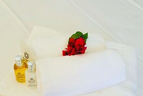 Hotel Catedral