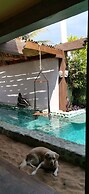 Posada Buda Tortuga