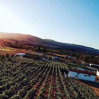 Quinta Nicolás Valle de Guadalupe