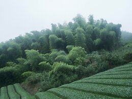 Yui Valley