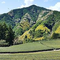 Yui Valley