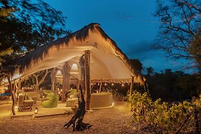 Leopard Safaris Yala