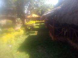 Roots Resort