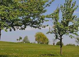 Ferienhaus in Meisdorf
