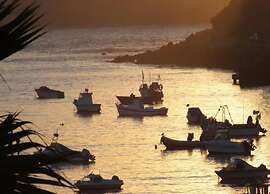 Apartment Sao Martinho Near Beach