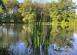 Riverside Charm in Perigord Noir