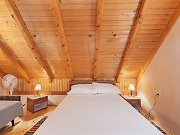 Comfortable apartment in Polača with swimming pool