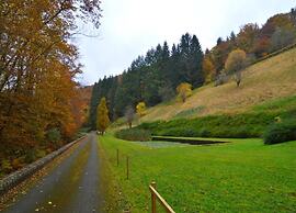 Nature Escape in Nafraiture