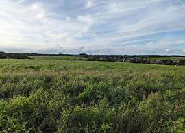 Nature Escape in Nafraiture