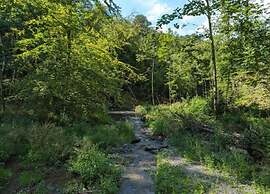 Nature Escape in Nafraiture