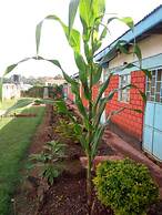 Summary Guest House