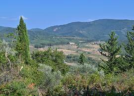 A Vineyard Apartment Retreat