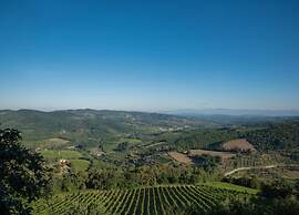 A Vineyard Apartment Retreat
