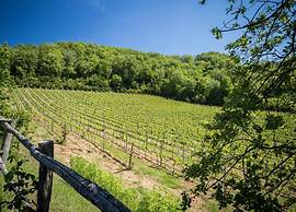 A Vineyard Apartment Retreat