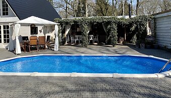 Villa in Drents-friese Forest With Pool