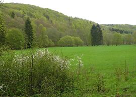 Holiday Home in Wolfsberg by River
