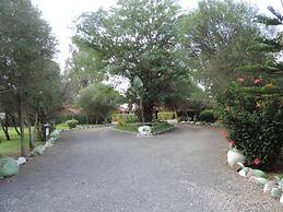 Lions Court Lodge