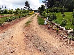 Mseven Gardens M7