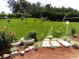 Mseven Gardens M7