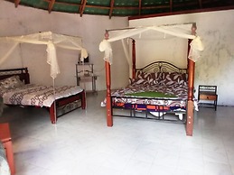 Mseven Gardens M7