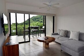 Agaves 203