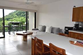 Agaves 203