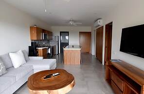 Agaves 203