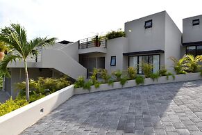 Agaves 203