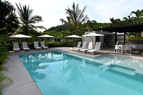 Agaves 203
