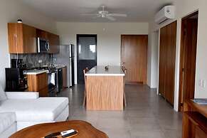 Agaves 203