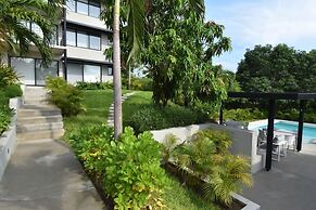 Agaves 203