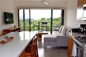 Agaves 203