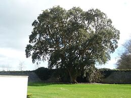 Castlemartyr Mews