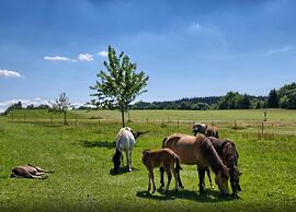 Charming Apartment, Harz Region