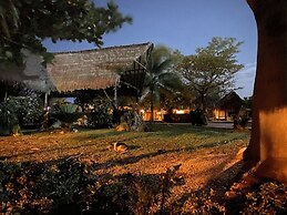 Mangrove King Fishing Lodge