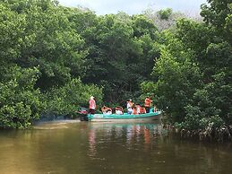 Mangrove King Fishing Lodge