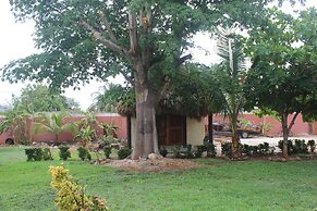 Mangrove King Fishing Lodge