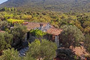 Lavender Cottage