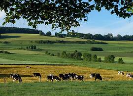 Feriendorf Reinskopf in der Eifel