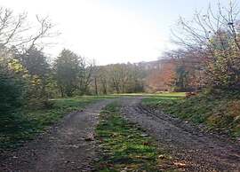 Feriendorf Reinskopf in der Eifel