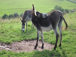 Feriendorf Reinskopf in der Eifel